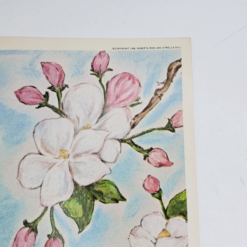Vintage 1968 Classroom Poster Print Atrelle Dill Roberta Ross June Birds - Picture 3 of 4
